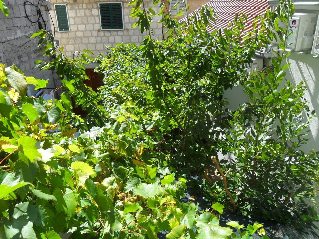 Apartments Villa Dube سبليت المظهر الخارجي الصورة